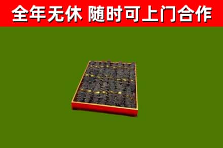 莘县回收海参